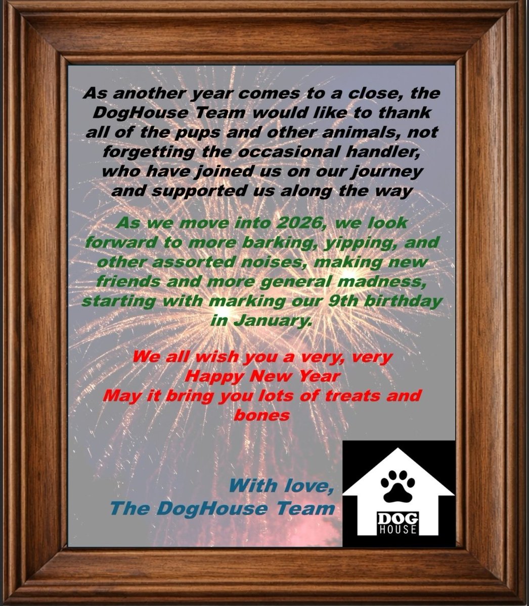 Dog House tweet media