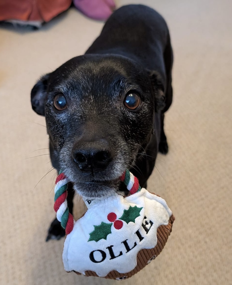 Kate Knighting 😷💙 tweet media