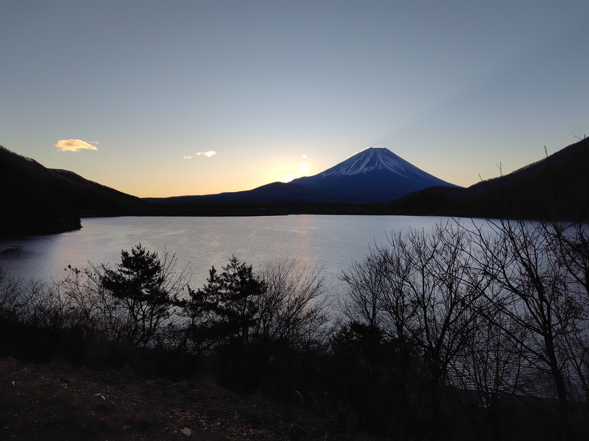 ゆあさ(　・ω・) tweet media