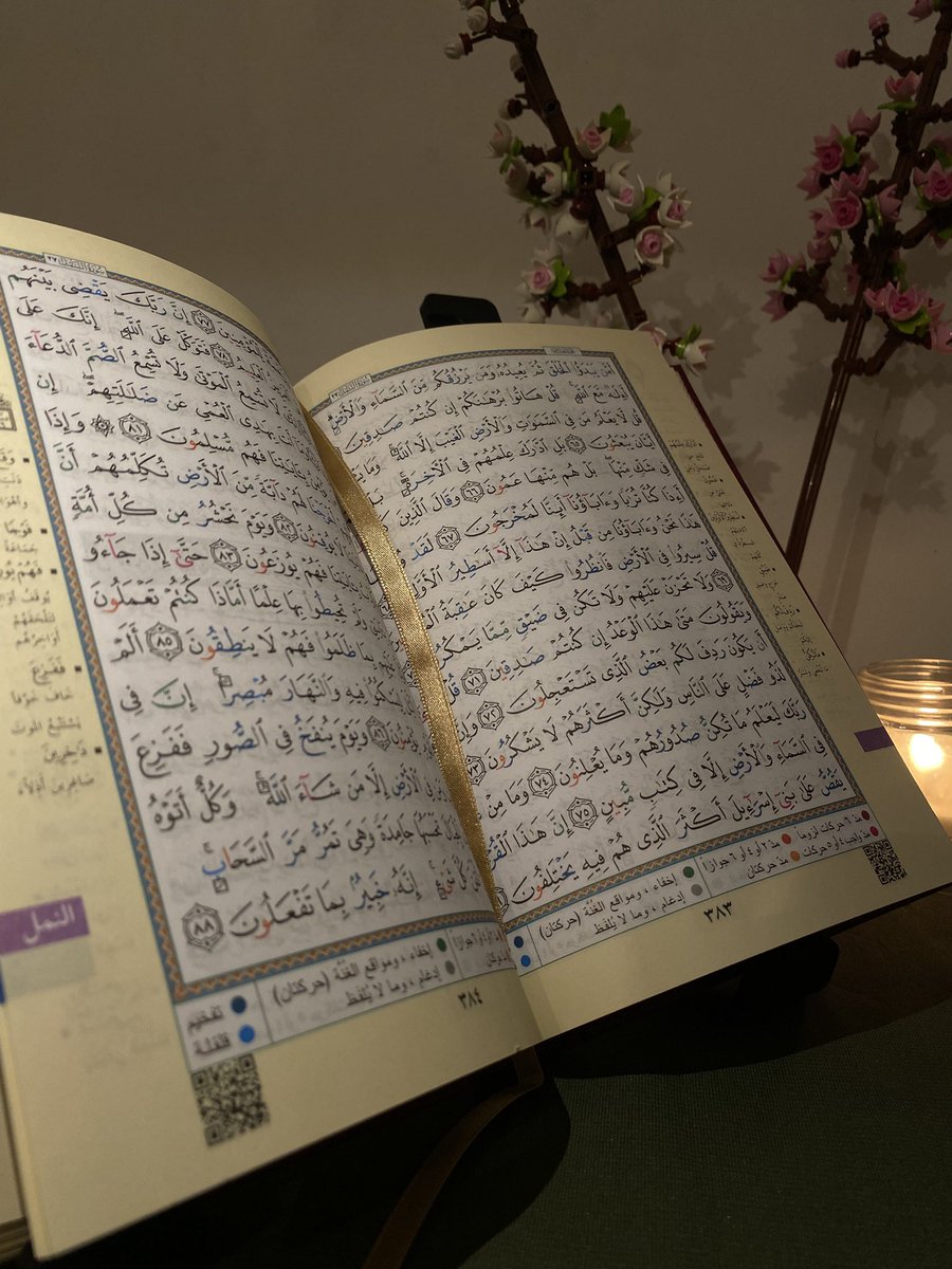 jesaispass8's tweet image. 🎁 Concours ! 

1 personne gagnera un Quran en arabe (Tajwid, Hafs)

⚠️Condition : le lire. Si tu ne le lis pas, donne le et ne le revend pas, sauf si tu es dans le besoin ou endetté.

Pour participer : écrire en commentaire « je participe »

Résultat le 7 janvier, in shaa Allah.