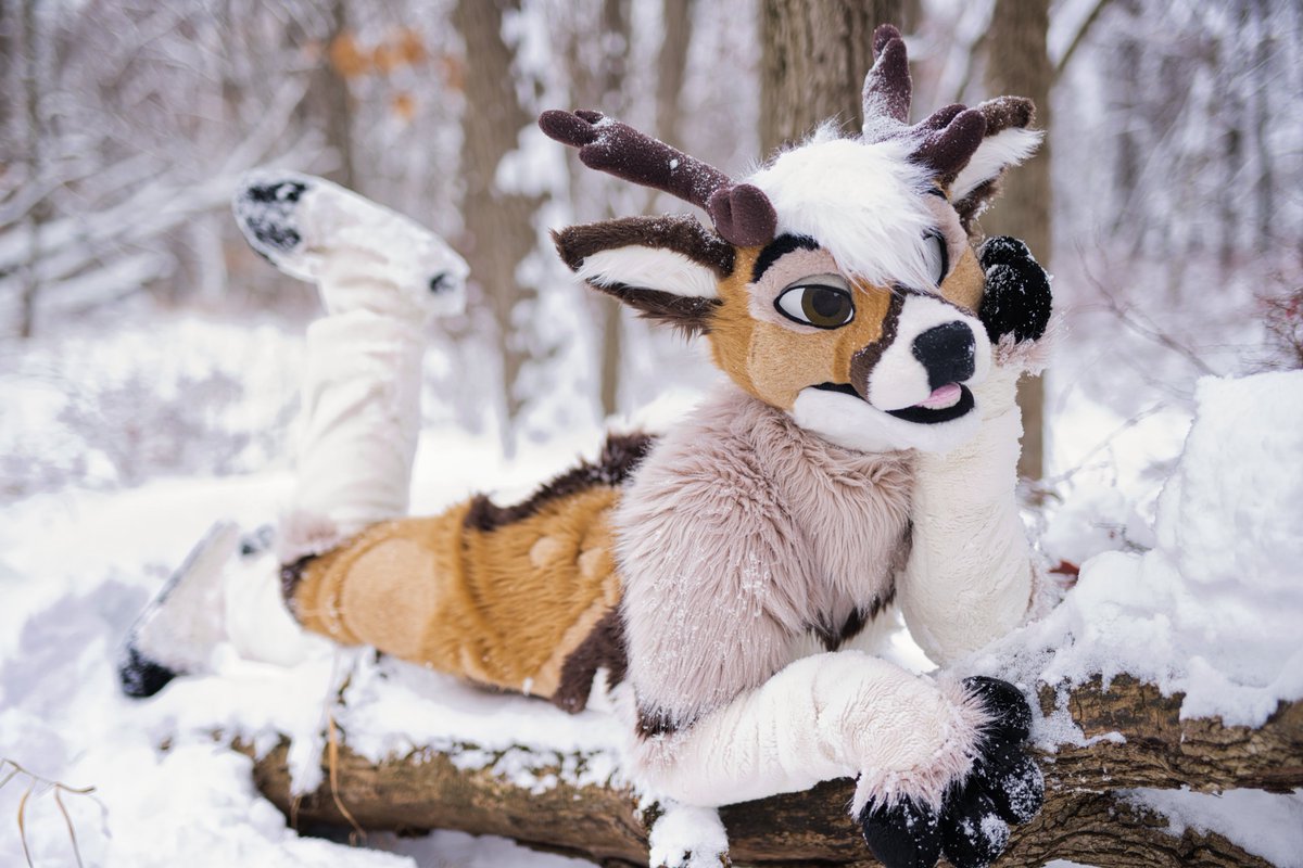 Bleat_Deer's tweet image. 2025 is on its last few hours so I’ll wish you all a happy new year with lots of love fun and happiness 😘🩷🩷🩷
📸@kealianwolf