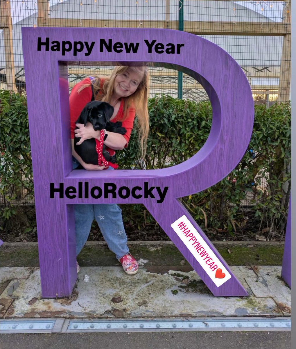 Julie -DogCast Radio tweet media