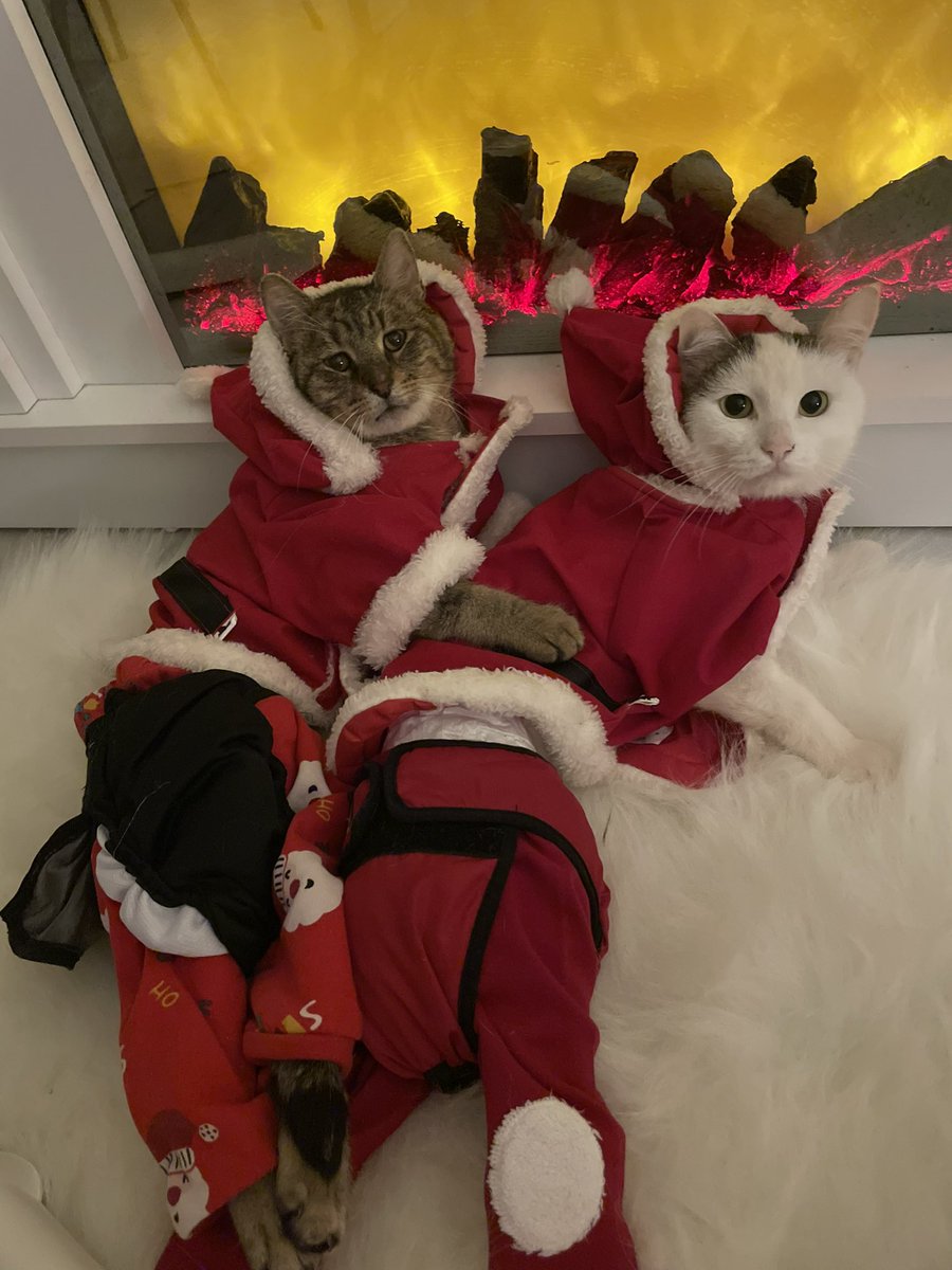 Sevgili günlük
Geçen sene bu zamanlar biz sokaktaydık 
Herkes geceyi çok güzel yemeklerle ve sevdikleriyle geçirirken biz buz gibi havada aç ve yalnızdık 
İkimizinde başına sokakta çok kötü şeyler geldi ama bunlar biraz bizim şansımız oldu sanırım. 
Bu sene sıcacık evimizde yaş