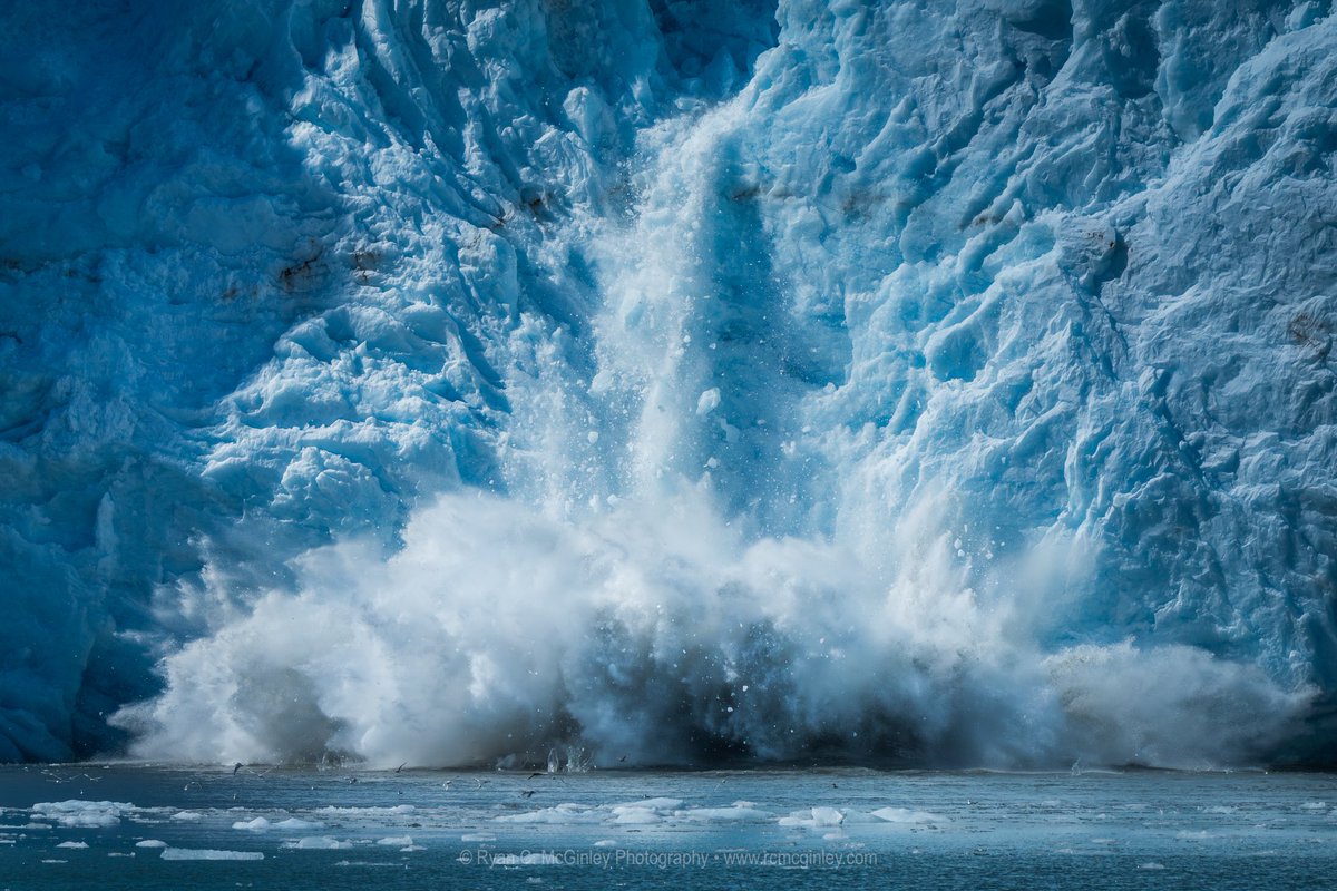 Ryan C. McGinley tweet media