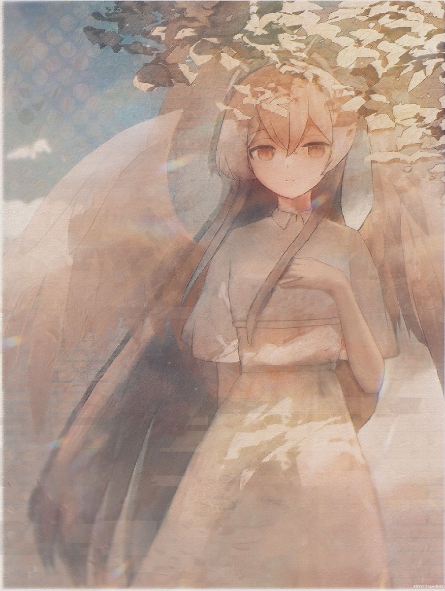 2025年自分が選ぶ今年の4枚 See you next year !!