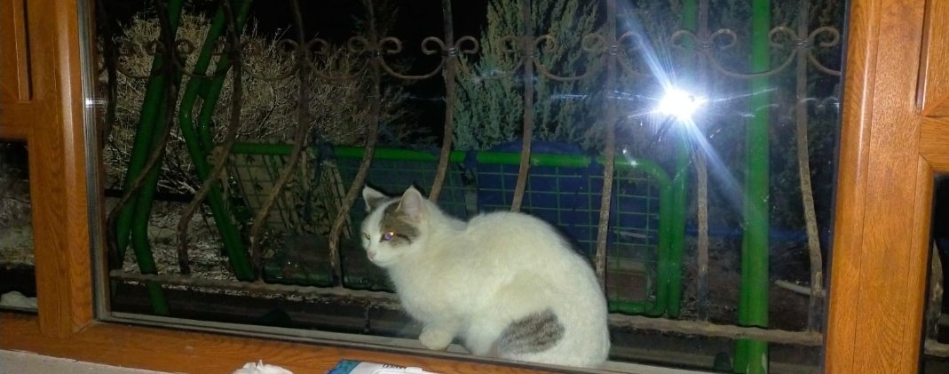 Sevginin yakışmadığı yer mi var nereye koyarsan oraya yakışır yeter ki sevmesini bil.