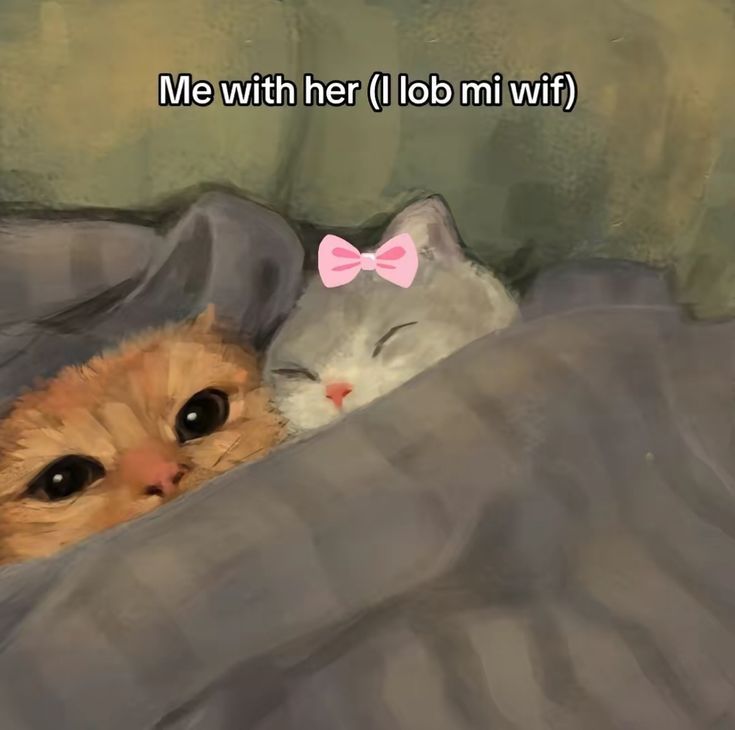 _mymsgs's tweet image. 