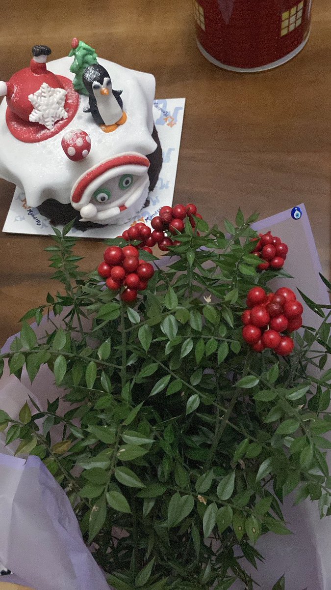 new year ❤️💵💶💎🧿💰🍀✨🧑🏻‍🎄