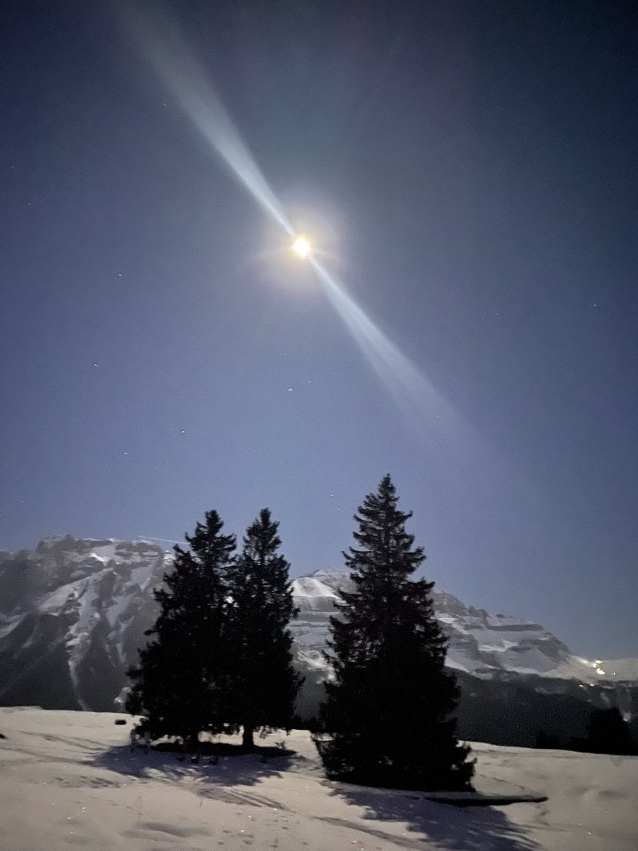 Brainresus's tweet image. 