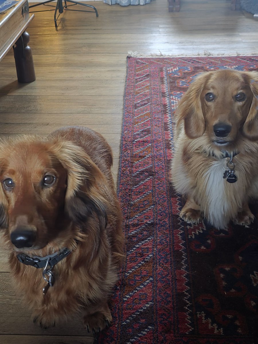 Colin Not so Bright tweet media