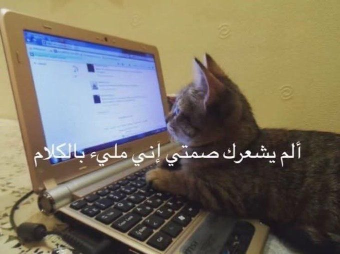 7 وآخرون (@biiiu7l) on Twitter photo 