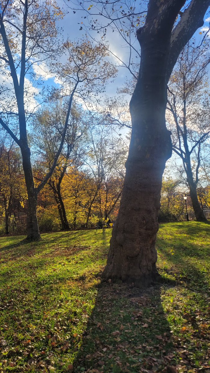 huda zahid tweet media