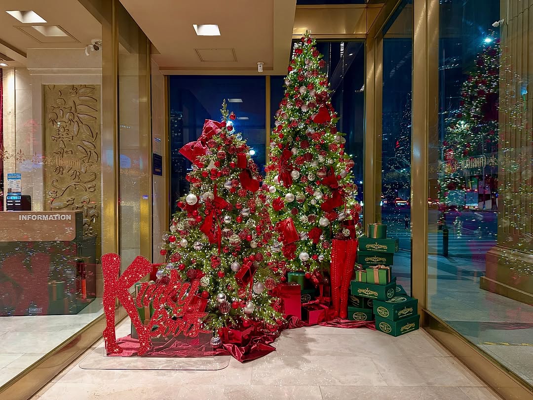 251231 @/chacha__at IG