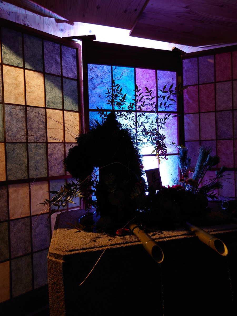 遠藤えりか tweet media