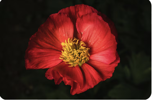 Pippa Ettore tweet media