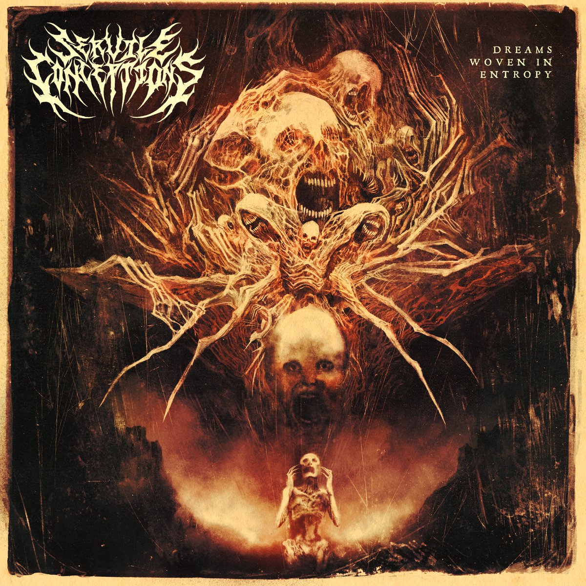 Servile Conceptions (@servileofficial) on Twitter photo 