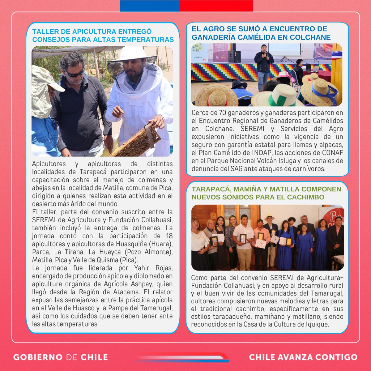 👋 Despedimos el último mes del año y nos preparamos con todo para iniciar un excelente 2026. Revisa las #AgroNoticias de diciembre con los avances e iniciativas a favor del mundo rural de #Tarapacá. 🎉 Feliz Año Nuevo ✨🎆 #Tamarugal #Iquique #QueSeSepa