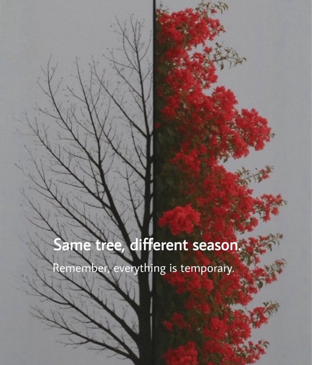 Earth (@earthcurated) on Twitter photo 