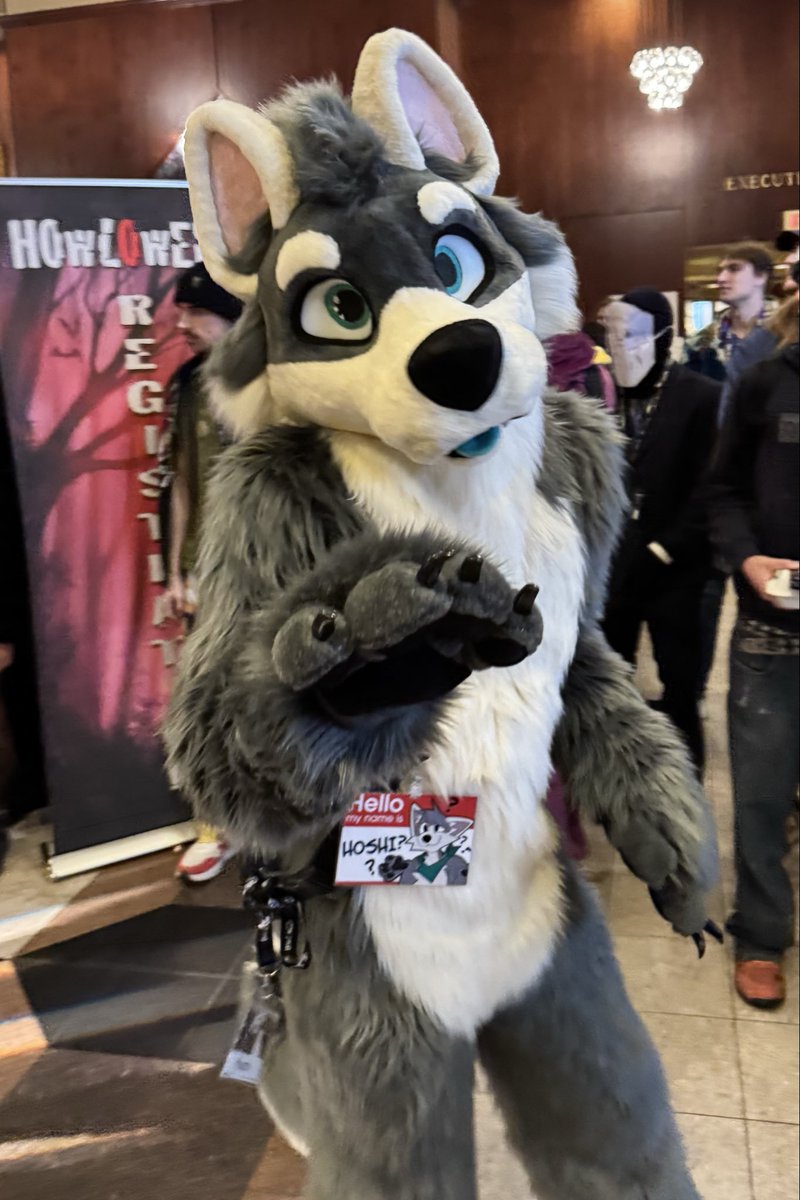 Hoshi 🇨🇦 tweet media