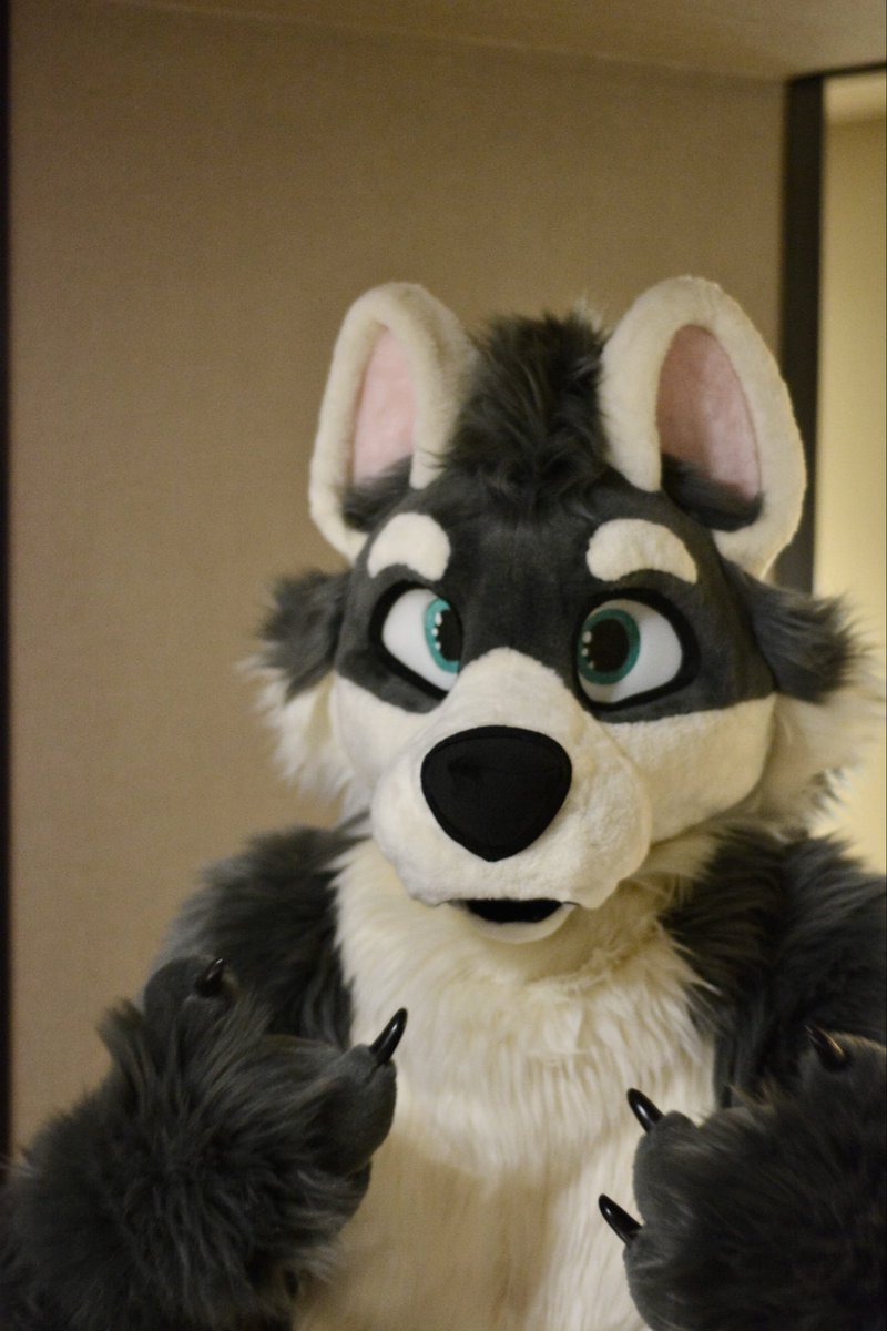 Hoshi 🇨🇦 tweet media