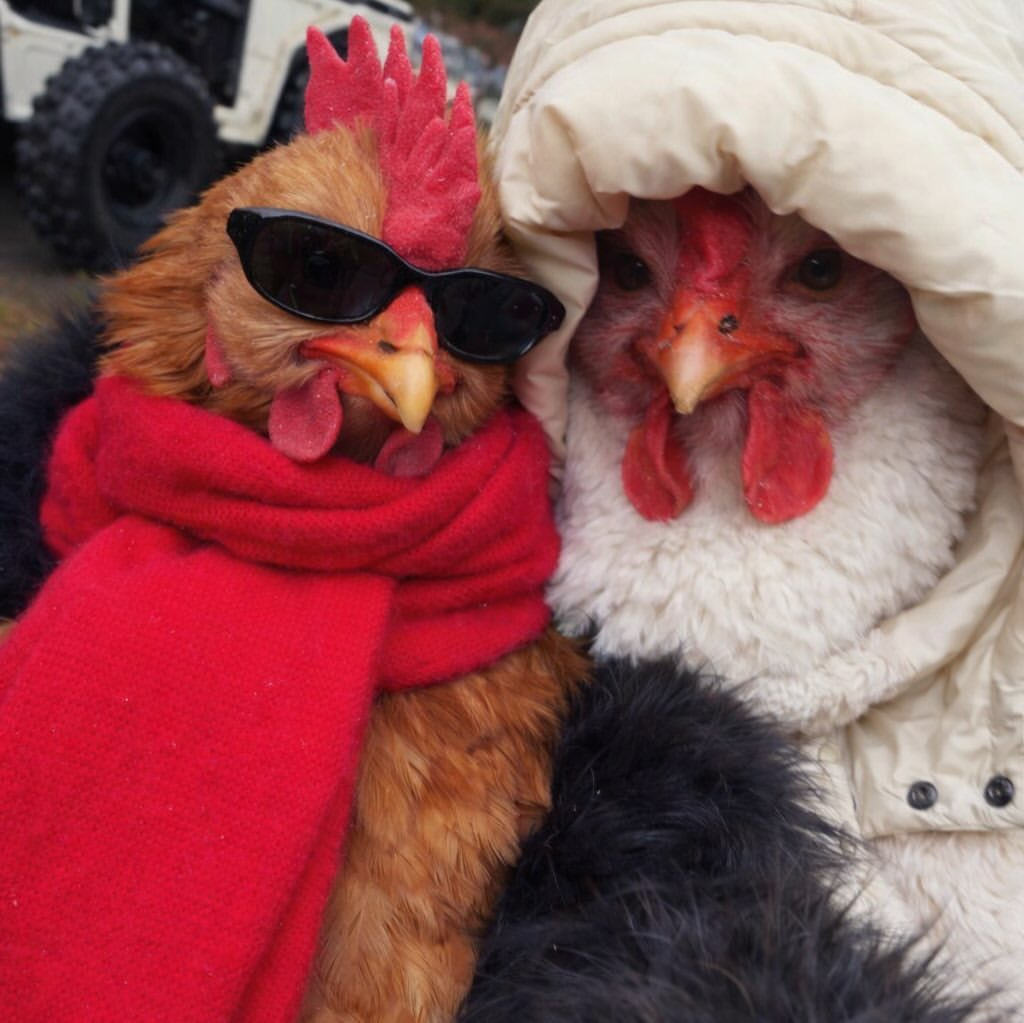 Justin Bieber (@justinbieber) on Twitter photo 