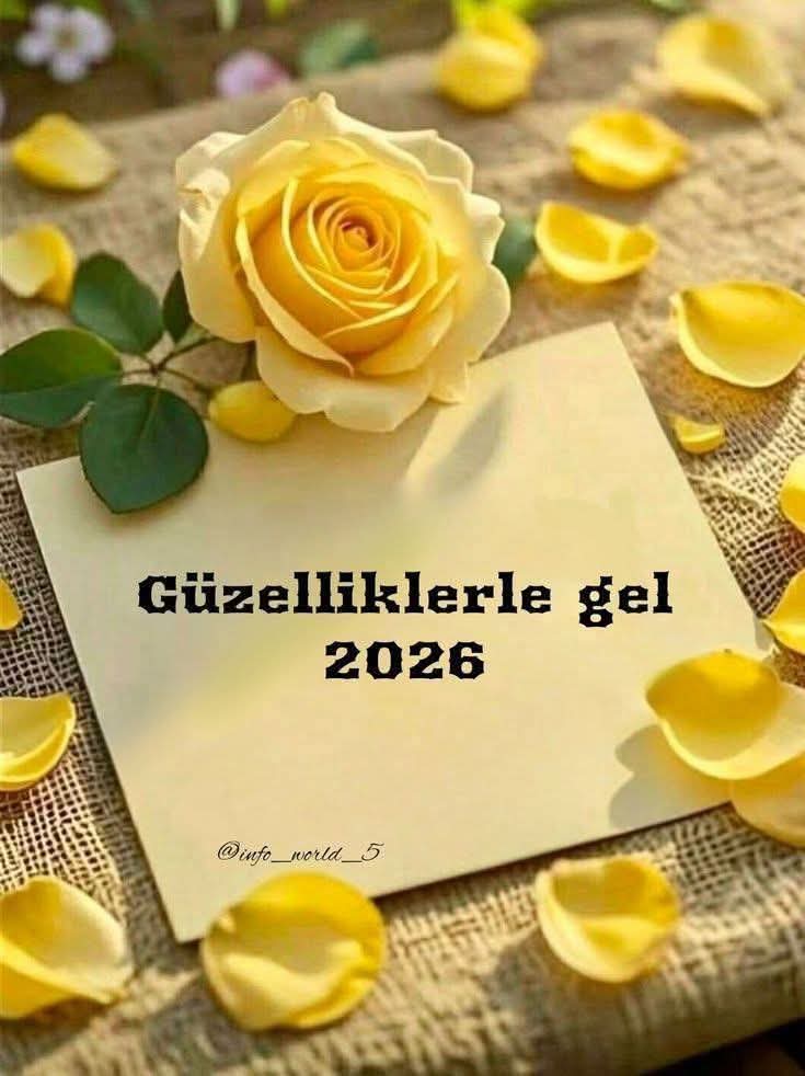 Sedat Güler (@sedatnguler) on Twitter photo 