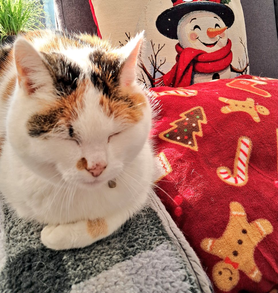 Regina van der Wal tweet media