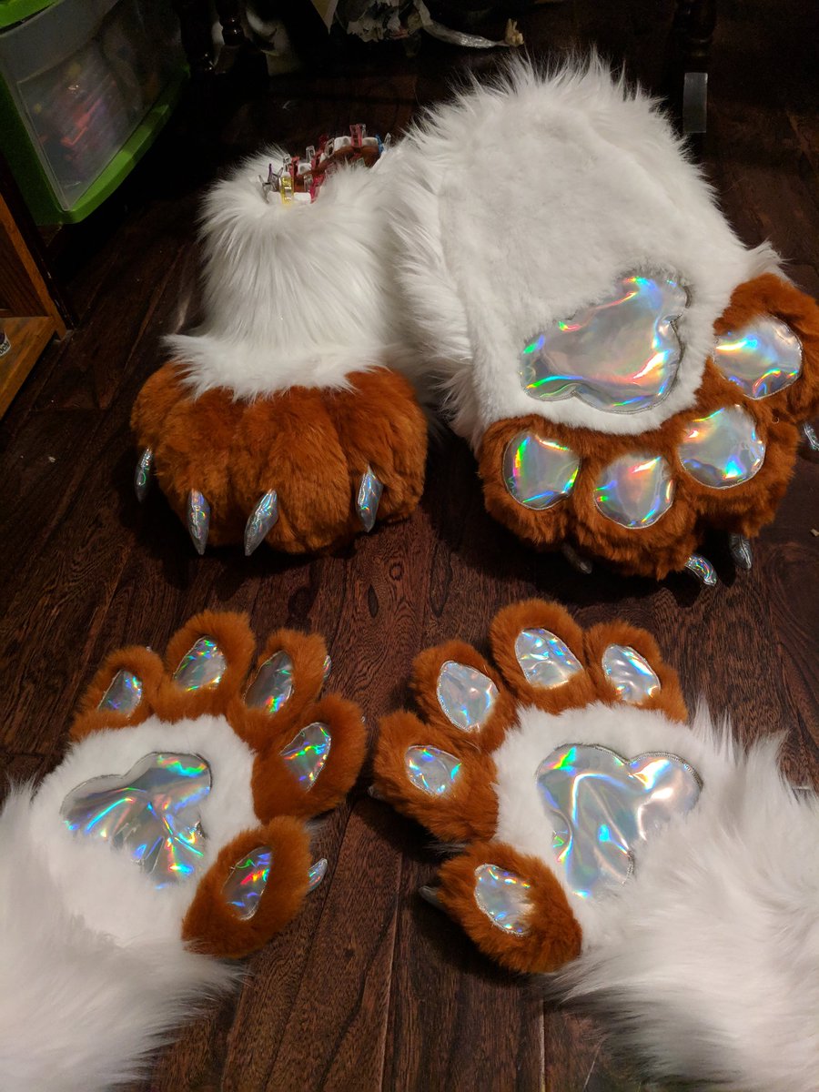 🌈Kaluna Tiger 🐅 🔜 AFC tweet media