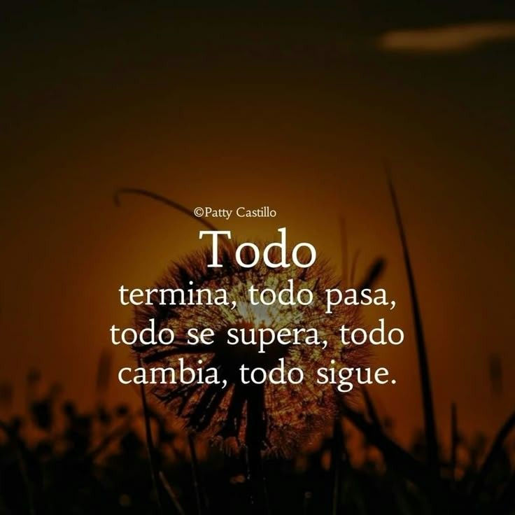 H_Determinante's tweet image. 6.