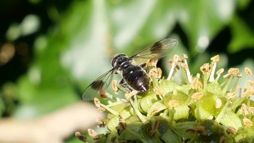 Simon Knott tweet media