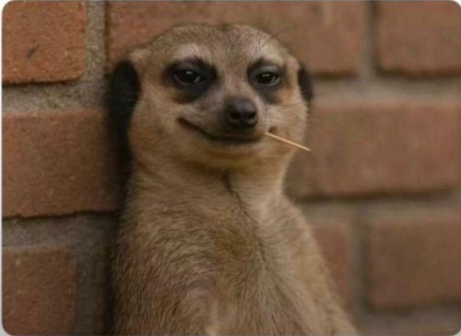 johnwik256's tweet image. If I don't talk to you tomorrow just know I left you in 2025( omanya oli Bikadde in my life)