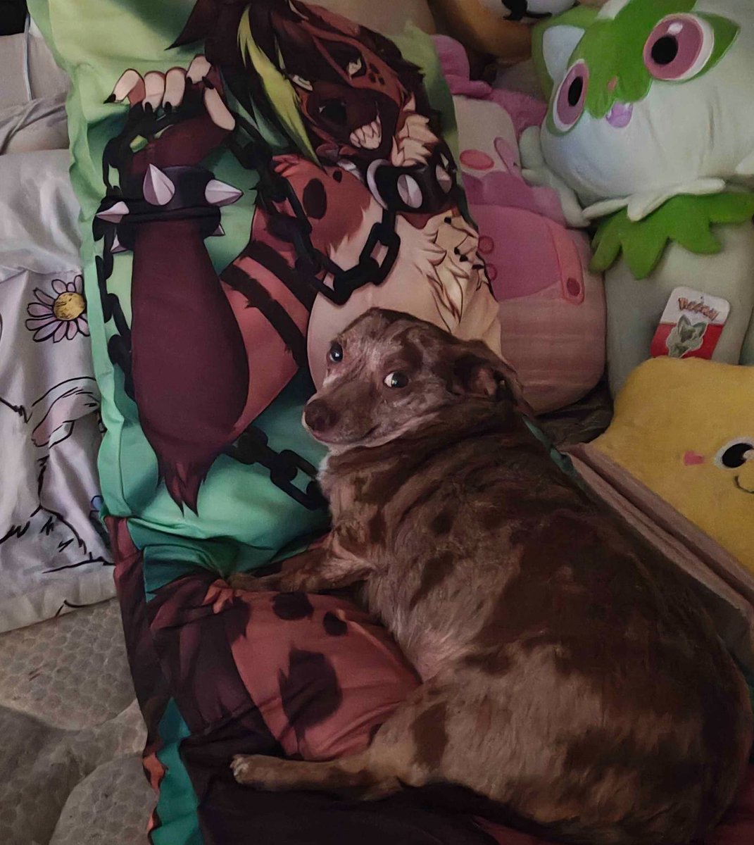 pantakleptic's tweet photo. Fanart I’ve made of my gfs dog and her dakimakura wife (Roxanne by @teranentwii) https://t.co/1g677d4Enp