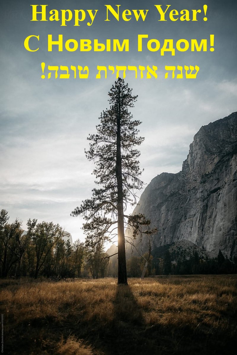 Ilia Stambler tweet media