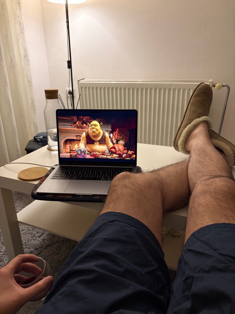 Benimle yilbasi geciyor olsaydiniz sarap icip shrek 2 izliyor olacaktiniz