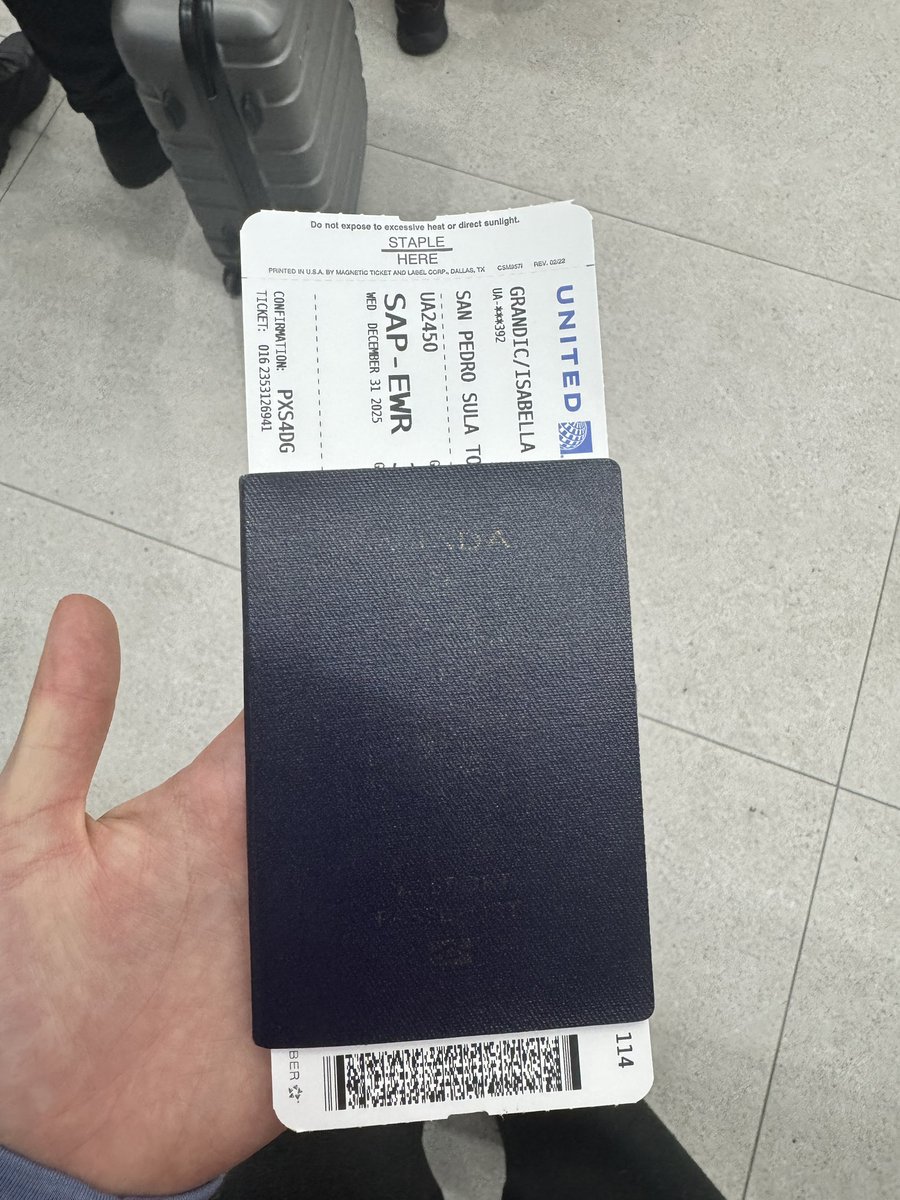 Isabella Grandic tweet media