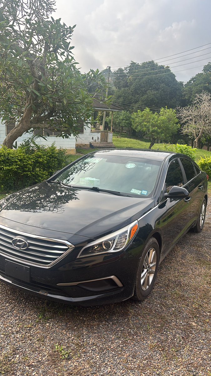 __SYLO's tweet image. 