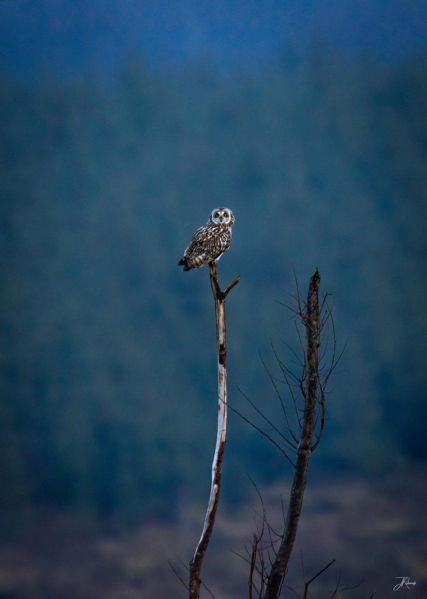 Jonathan Rosborough Photography tweet media