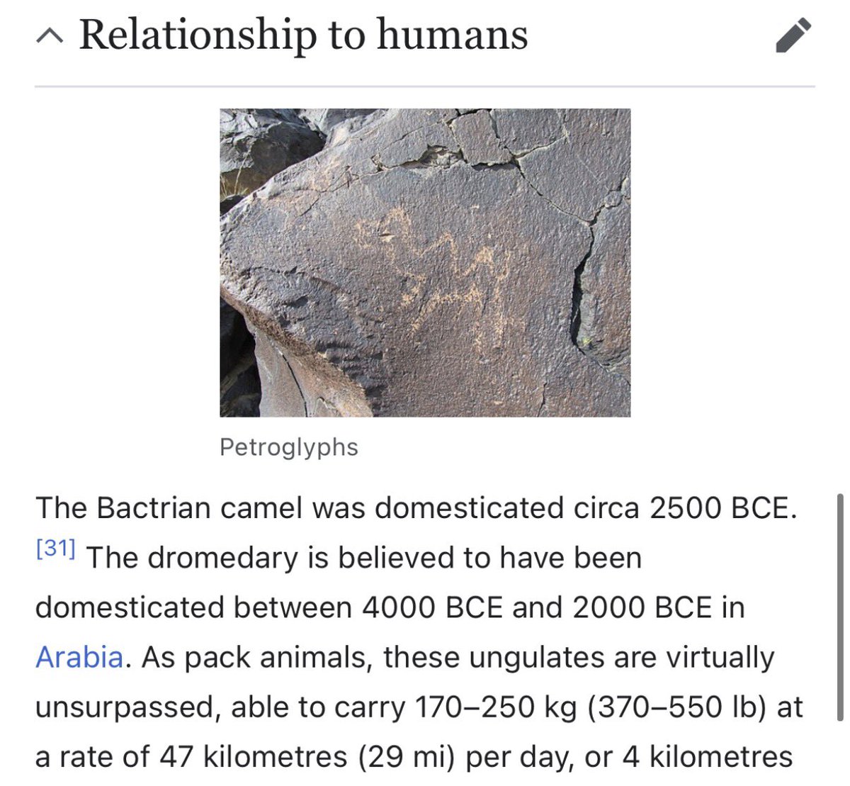 badboy122896243's tweet photo. @yoda_maybe @ANI Are they also owned by waqf 🤣 ?!? Oops 2500 BCE the chief was yet to be born ! https://t.co/uEaipw3rUv