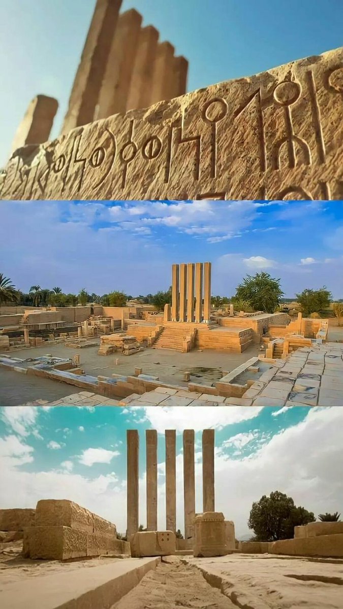 𝗔𝗻𝘄𝗿𝗔𝗹𝗶 𝗔𝗹-𝗢𝗺𝗿𝗶 tweet media