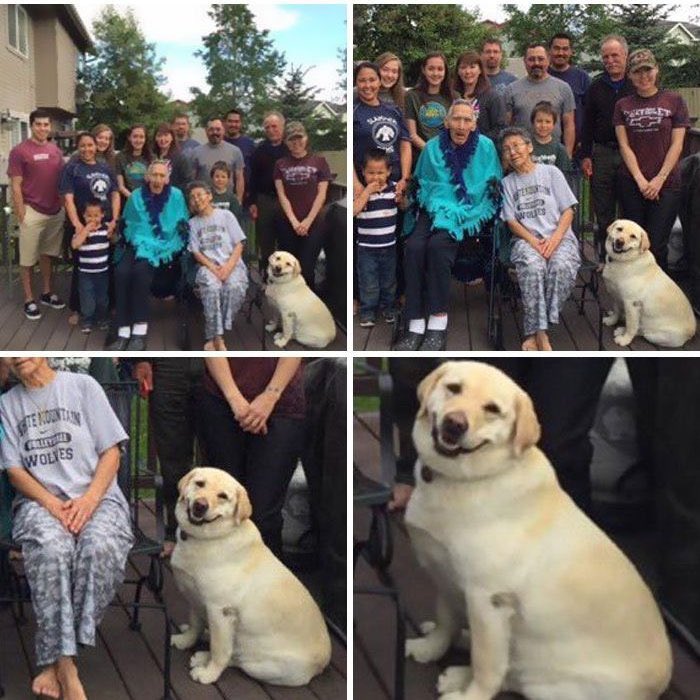 💖 (@twaniimals) on Twitter photo 