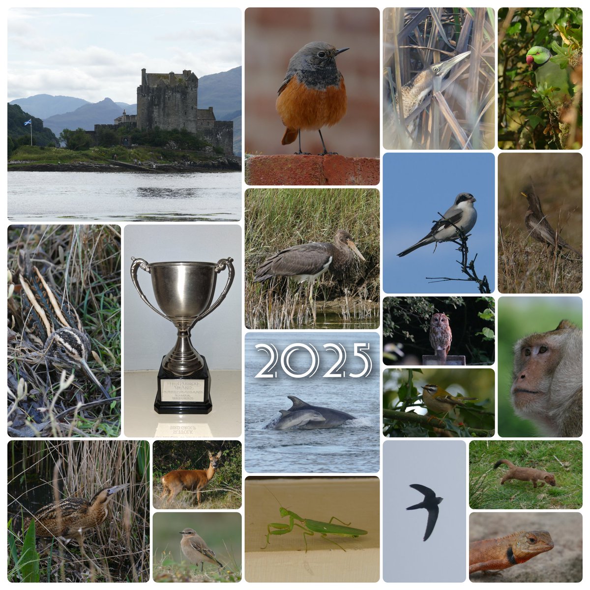 Thomas Porter tweet media