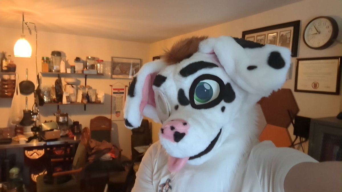 Luka Dalmatian tweet media