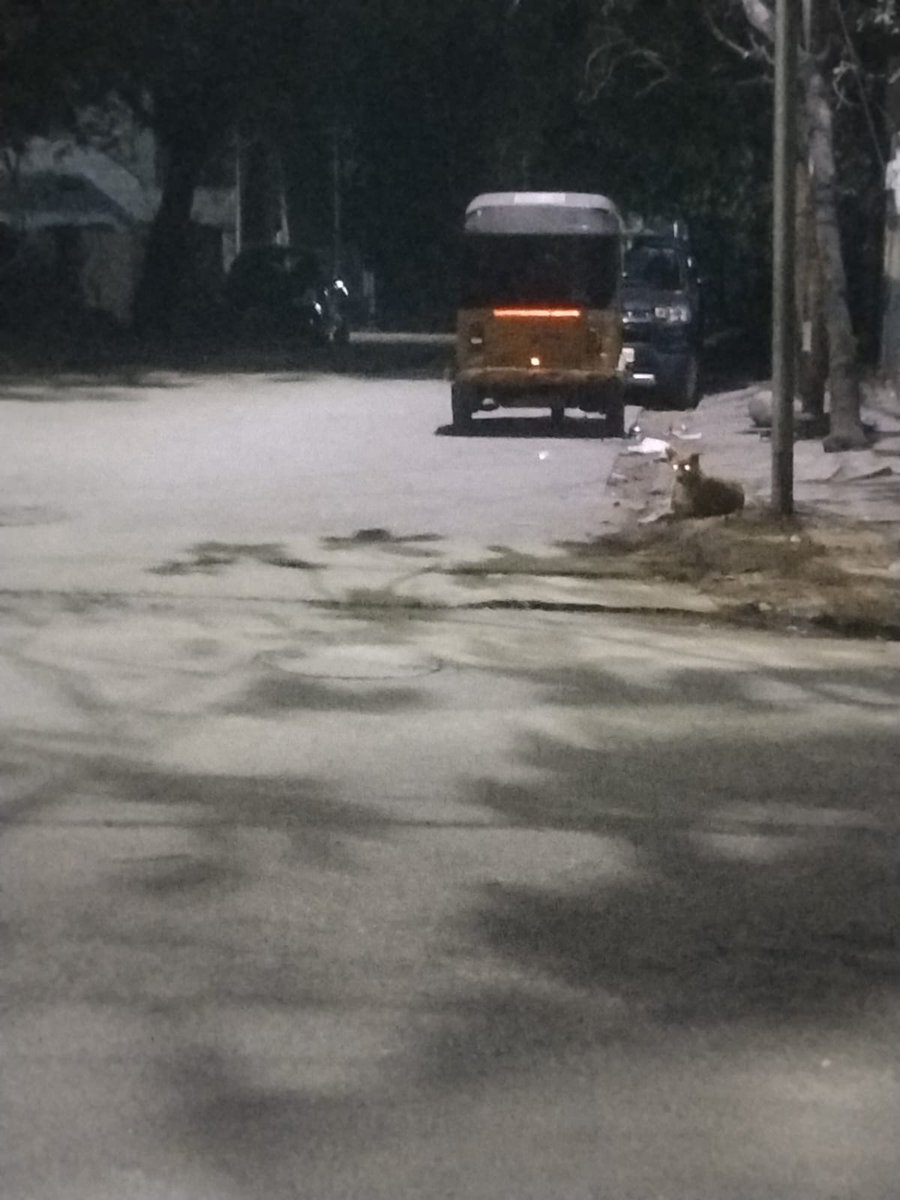 CitizenWatch tweet media