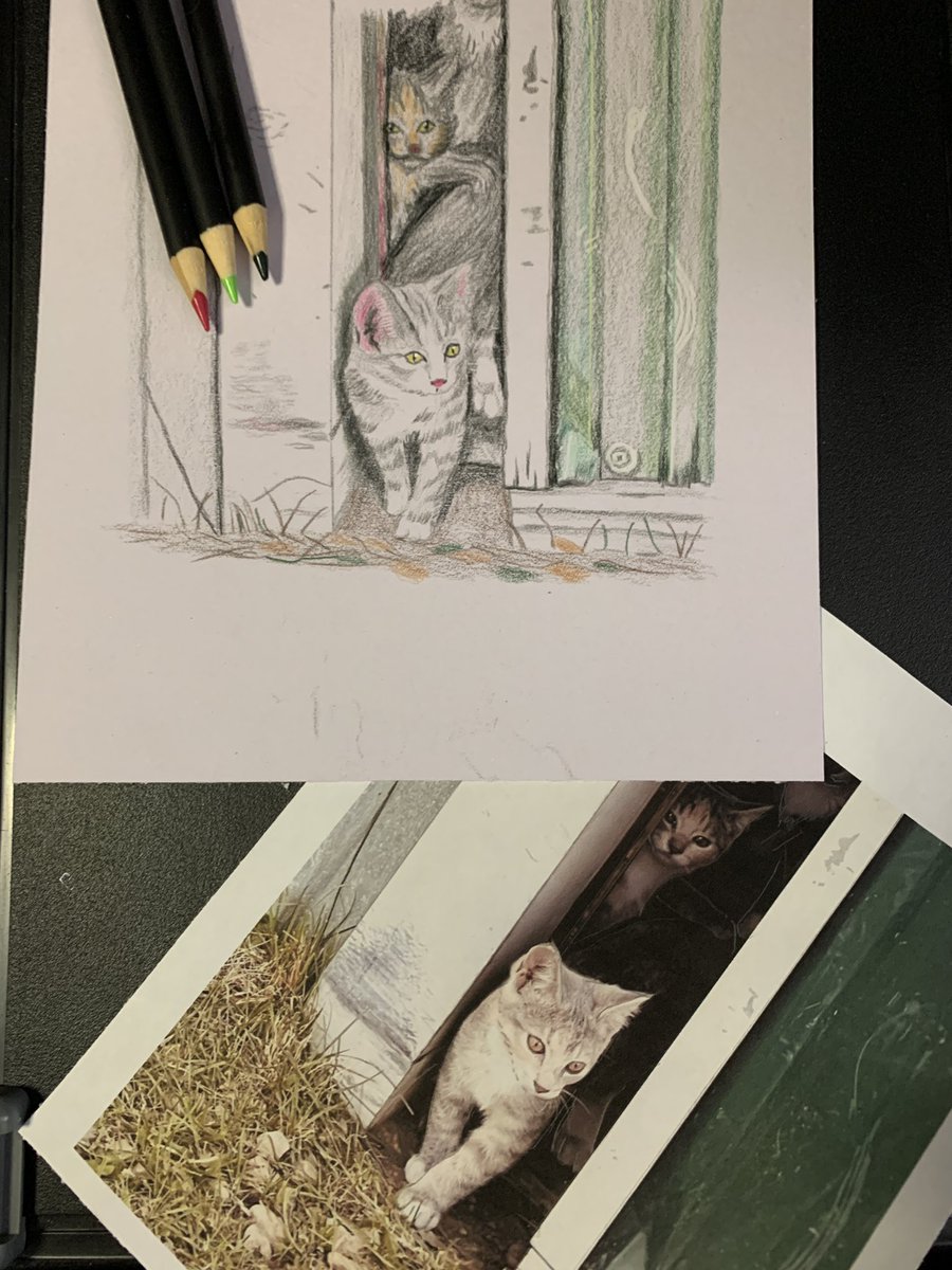 Hemecats's tweet photo. Meanwhile back at the drawing table - an interesting study but this one’s not quite right…. https://t.co/ogjRWkVson