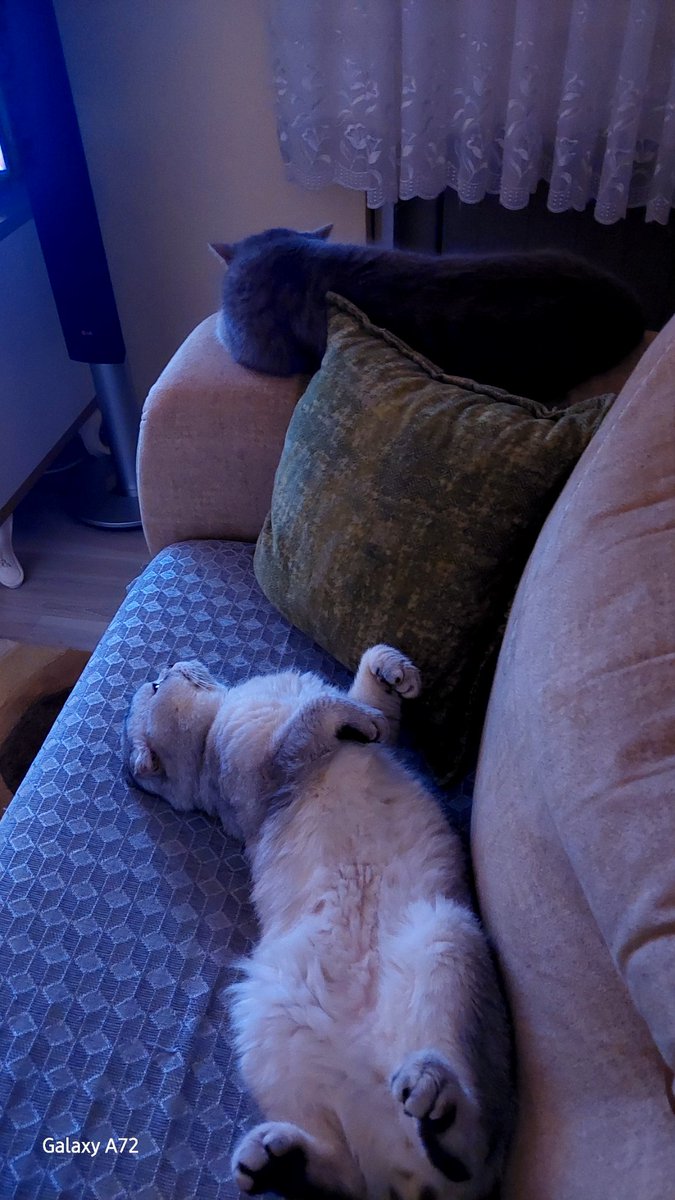 Yeni yıla böyle giricez