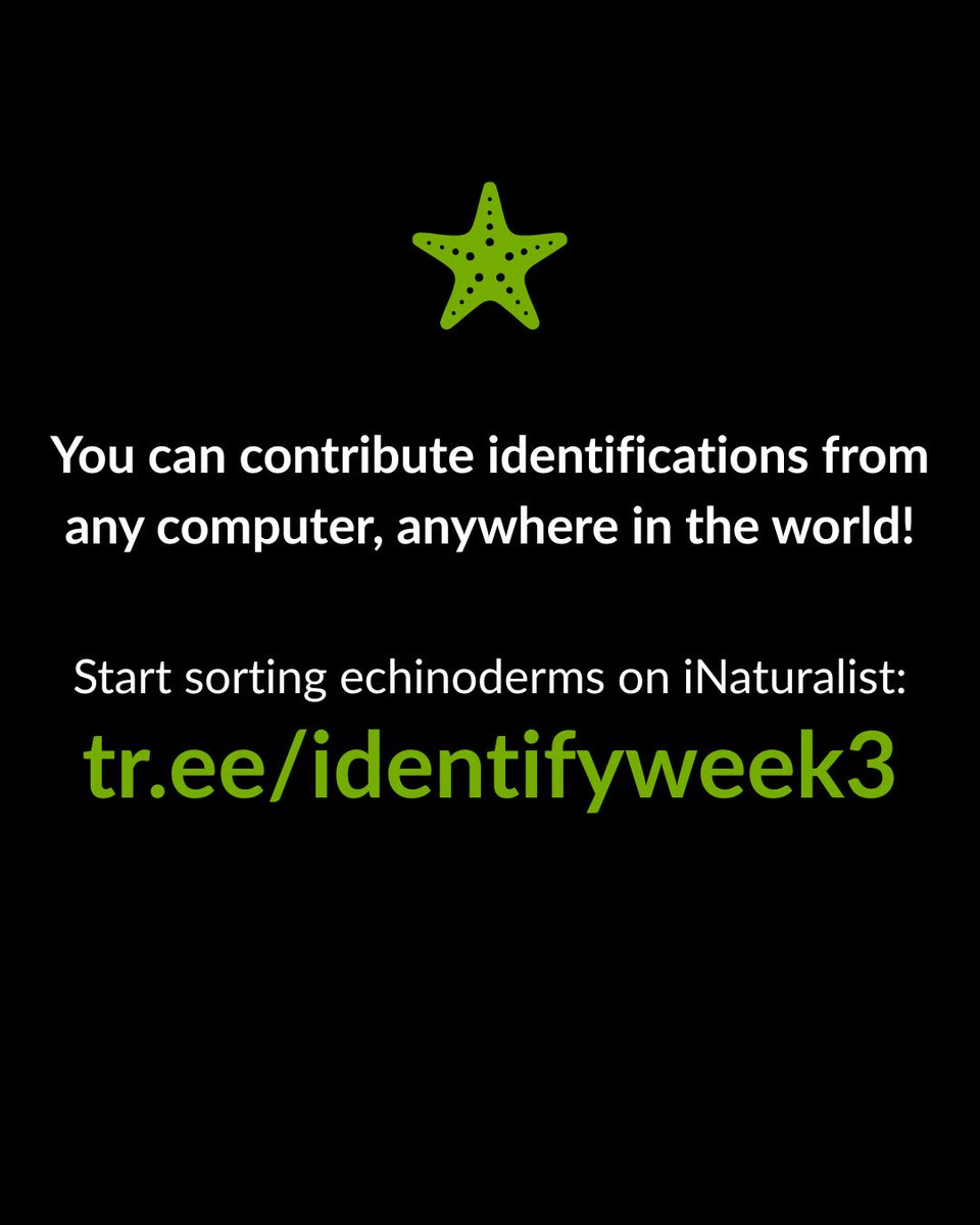 iNaturalist tweet media