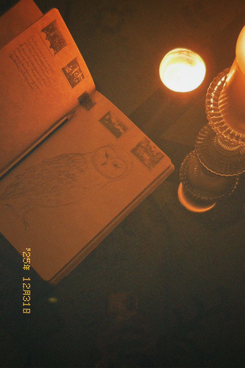 لسبب ما اضحيت أعشق رسم البومة في رسوماتي من تالي أشعر بأن صمت البومة دليل على السلام الداخلي والهدوء وظاهر أنني أشيد بشعار جديد هو سلام داخلي وصمت المقذع الذي سيحل للأبد .