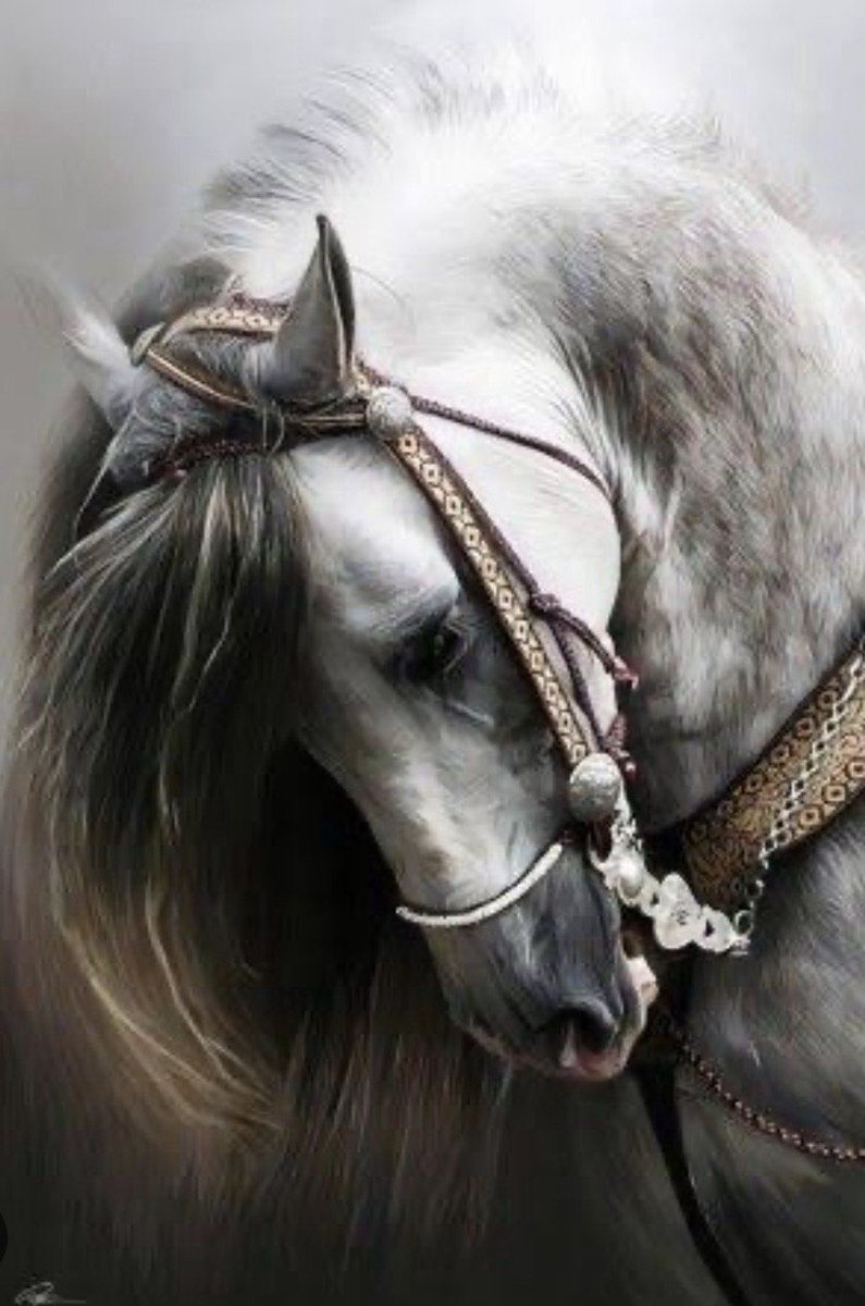 “FELIZ 2026, AÑO DEL CABALLO DE FUEGO, HECHO PARA VALIENTES Y AUDACES, CAPACES DE AGUANTAR EL VIENTO DE CARA A GALOPE TENDIDO. AÑO DE DESAFÍOS Y DE PRUEBAS COMPLICADAS. NO HAY TREGUA, SÍ HORIZONTES GLORIOSOS. 
PAZ, AMOR, SALUD, ABUNDANCIA, LUZ Y ALEGRÍA.”
#Feliz2026