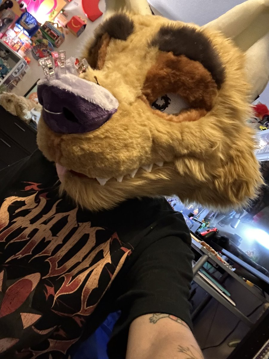 meow meow meow tweet media