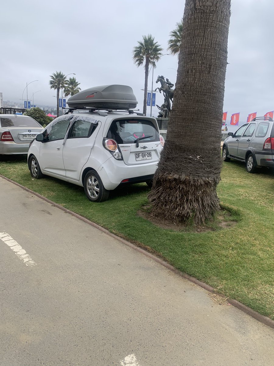 ViñaDenuncia tweet media